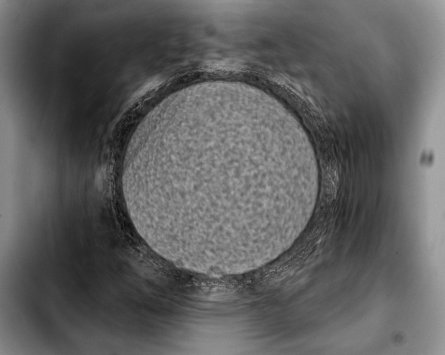 X0000103911254200810101300