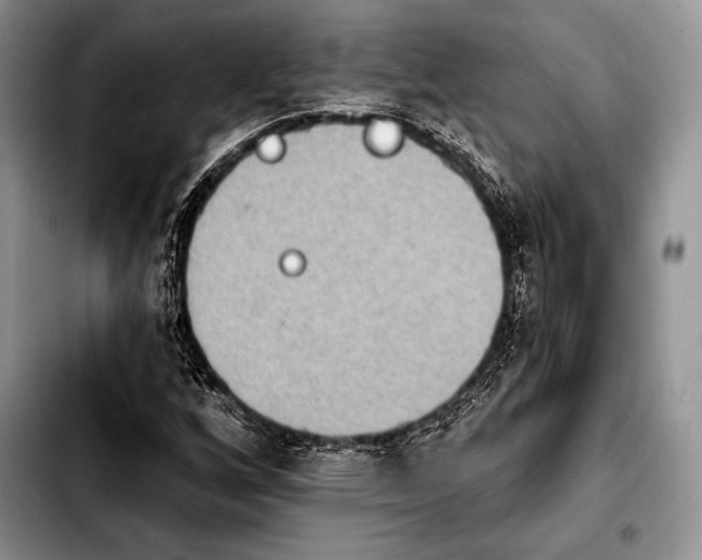 X0000103911256200810101300