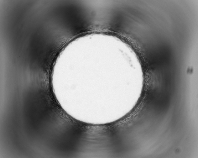 X0000103911257200810101300