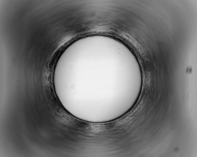 X0000103911258200810101300