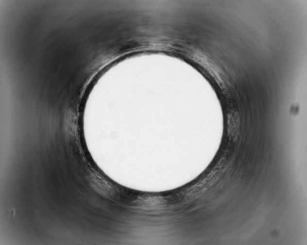 X0000103911260200810101300