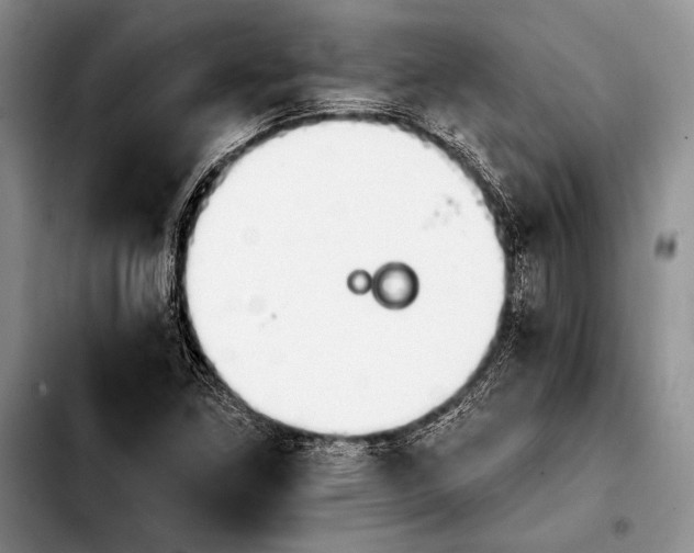 X0000103911261200810101300