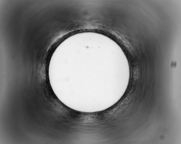 X0000103911262200810101300