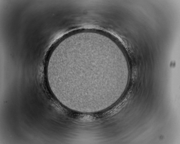 X0000103911263200810101300