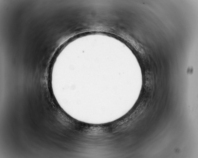X0000103911264200810101300