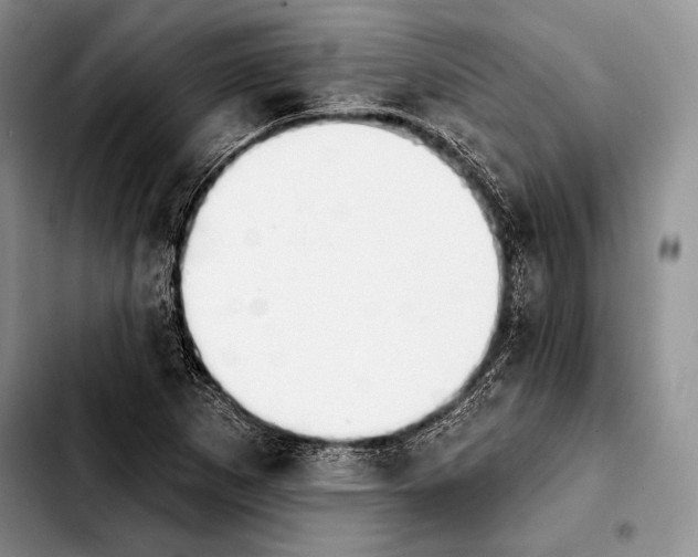 X0000103911265200810101300