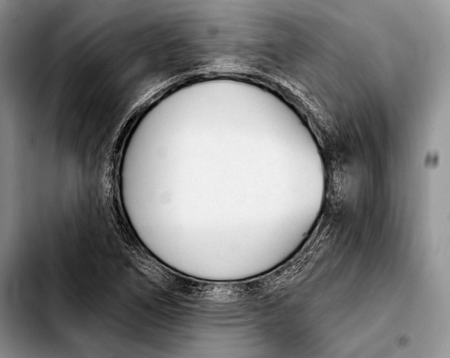 X0000103911266200810101300