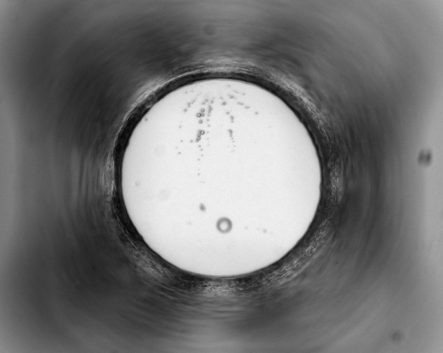 X0000103911267200810101300