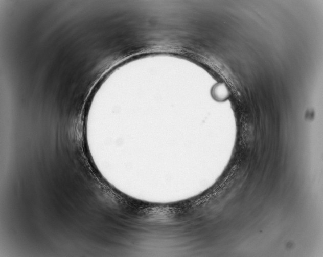 X0000103911268200810101300