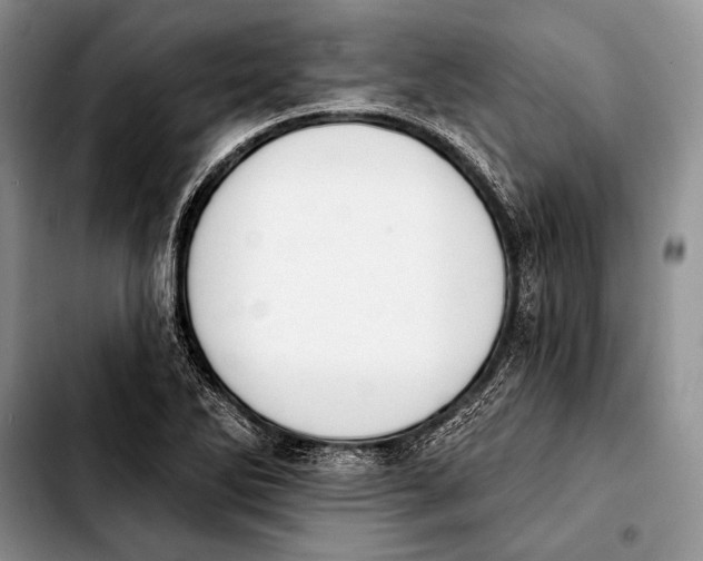 X0000103911270200810101300