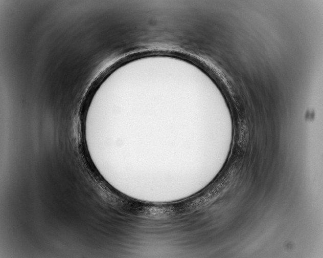 X0000103911271200810101300