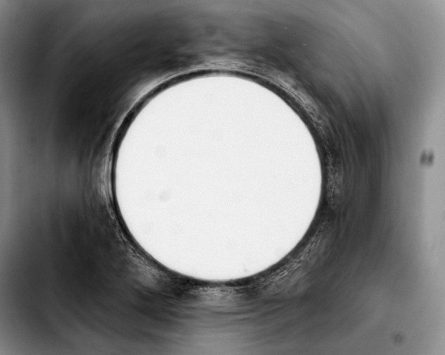 X0000103911272200810101300