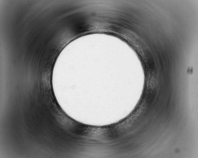 X0000103911273200810101300