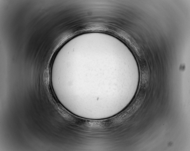 X0000103911274200810101300