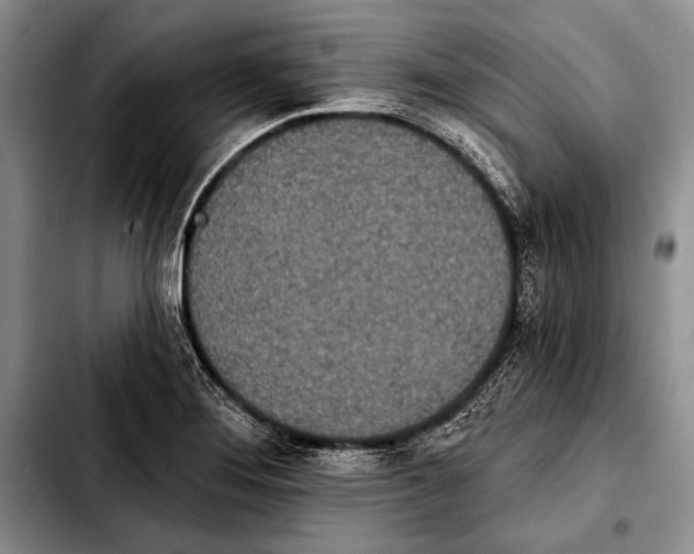 X0000103911276200810101300
