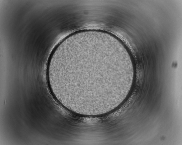X0000103911277200810101300