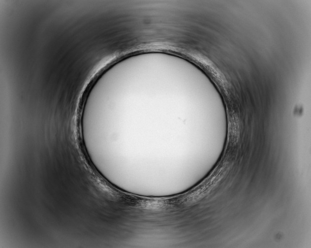 X0000103911278200810101300