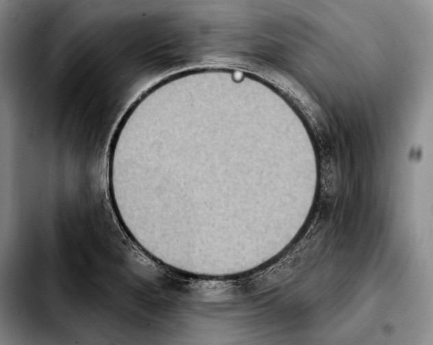 X0000103911280200810101300