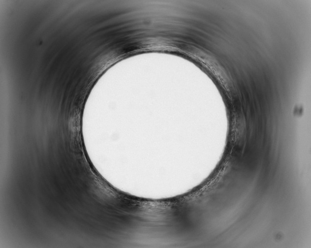 X0000103911281200810101300