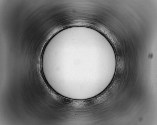 X0000103911282200810101300