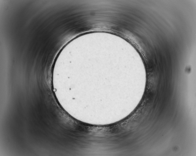 X0000103911284200810101300