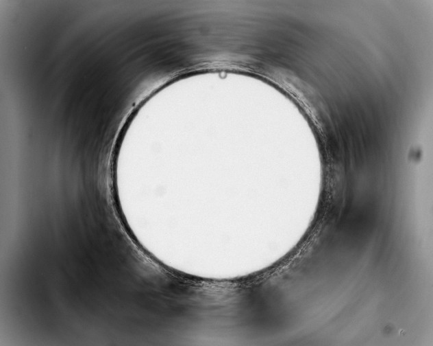 X0000103911285200810101300