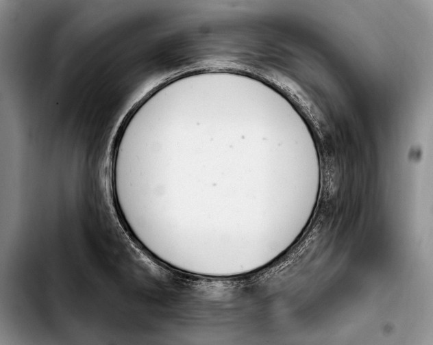 X0000103911286200810101259