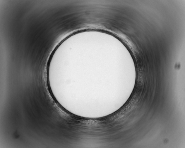 X0000103911287200810101259