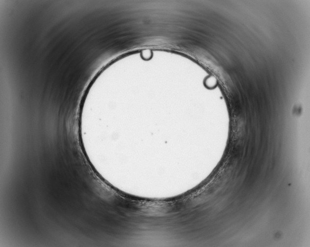 X0000103911288200810101259