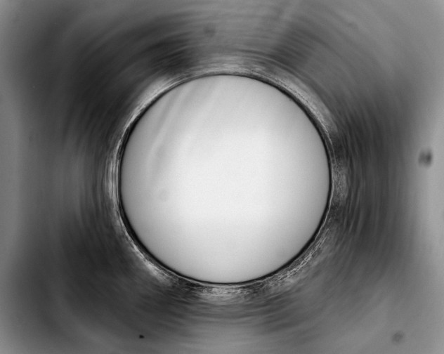 X0000103911290200810101259