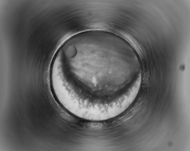 X0000103911291200810101259