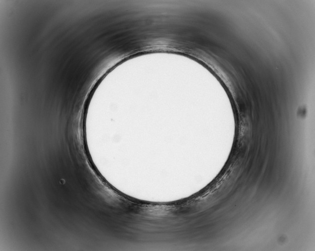 X0000103911293200810101259