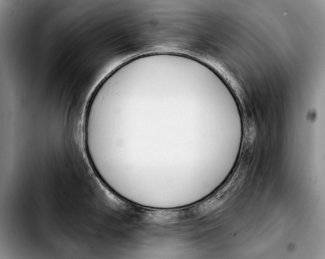 X0000103911294200810101259