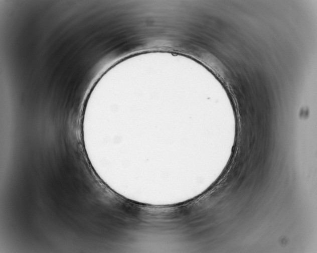 X0000103911296200810101259