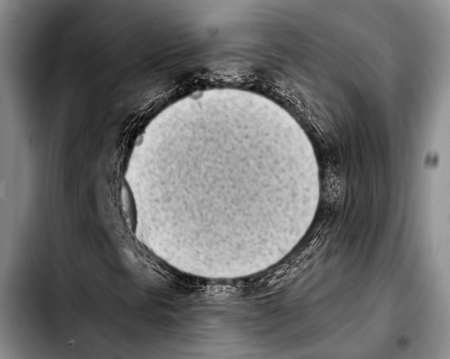 X0000103911297200810101259