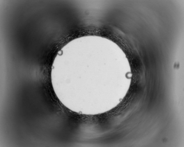 X0000103911298200810101259