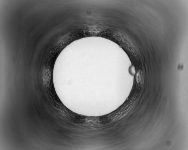 X0000103911299200810101259