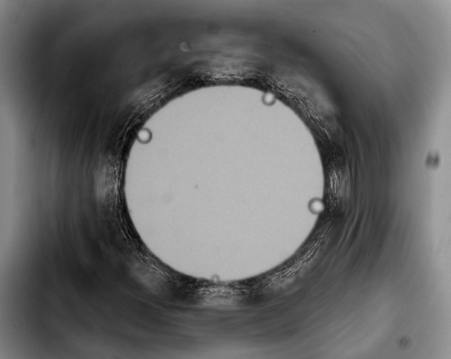 X0000103911300200810101259