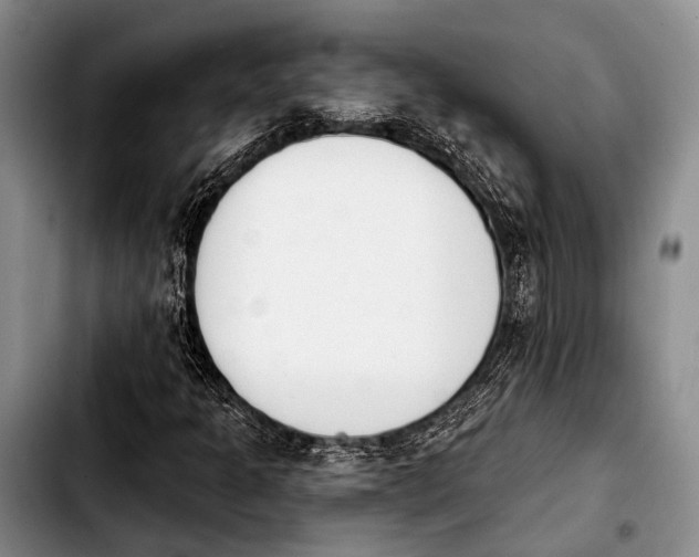 X0000103911301200810101259