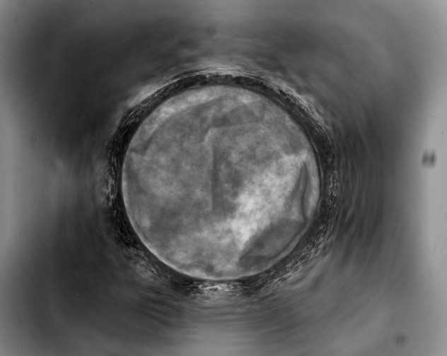 X0000103911303200810101259