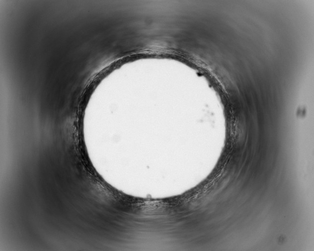X0000103911304200810101259