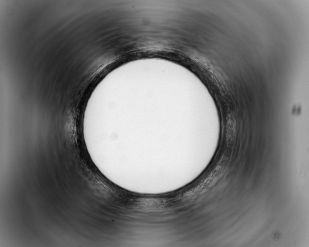 X0000103911305200810101259