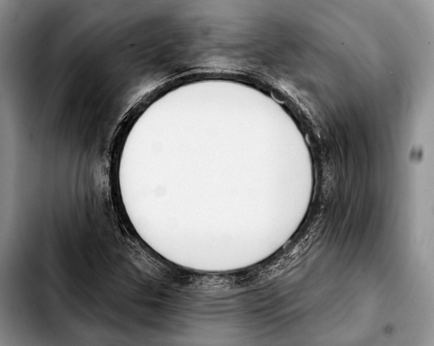X0000103911307200810101259