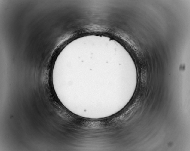 X0000103911309200810101259