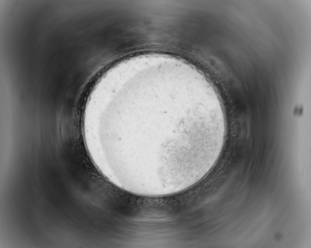 X0000103911310200810101259
