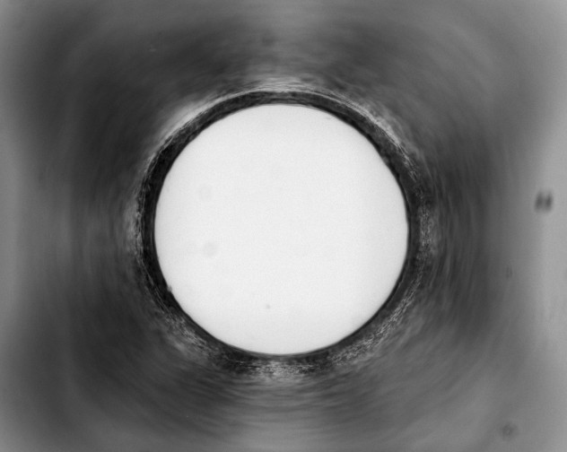X0000103911311200810101259