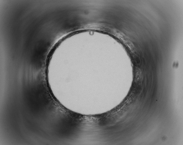 X0000103911312200810101259