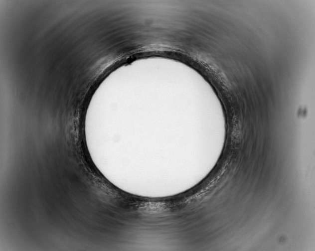 X0000103911313200810101259