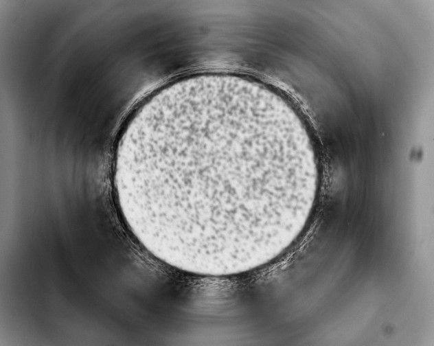 X0000103911314200810101259