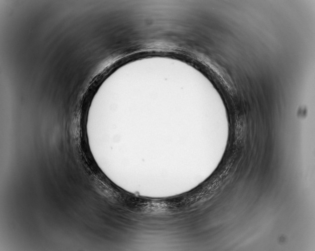 X0000103911315200810101259